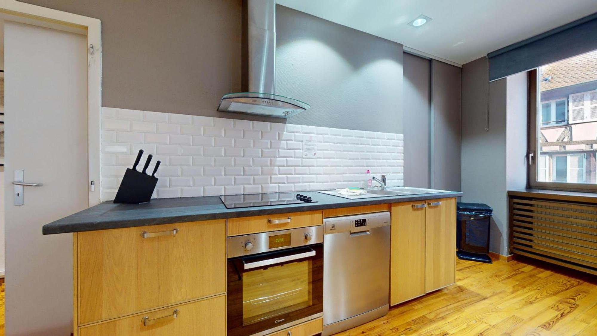 Appartement Colmarappart Rue Des Clefs Colmar